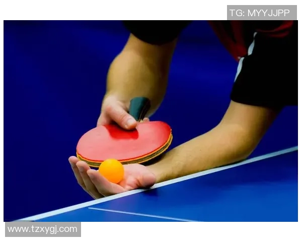 从零基础到高手之路乒乓球灵活性训练全攻略与技巧分享