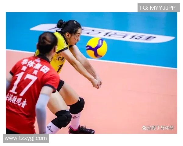 南京排球队攻防新策略解析助力球队崛起与发展