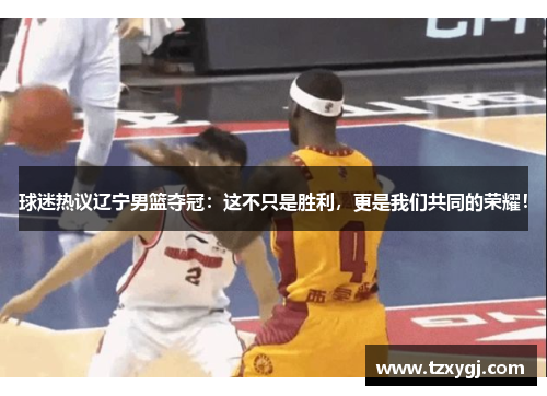 球迷热议辽宁男篮夺冠：这不只是胜利，更是我们共同的荣耀！